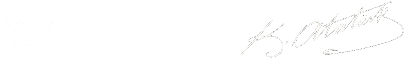 Türk Bayrağı ve Atatürk imzası — Teknofest